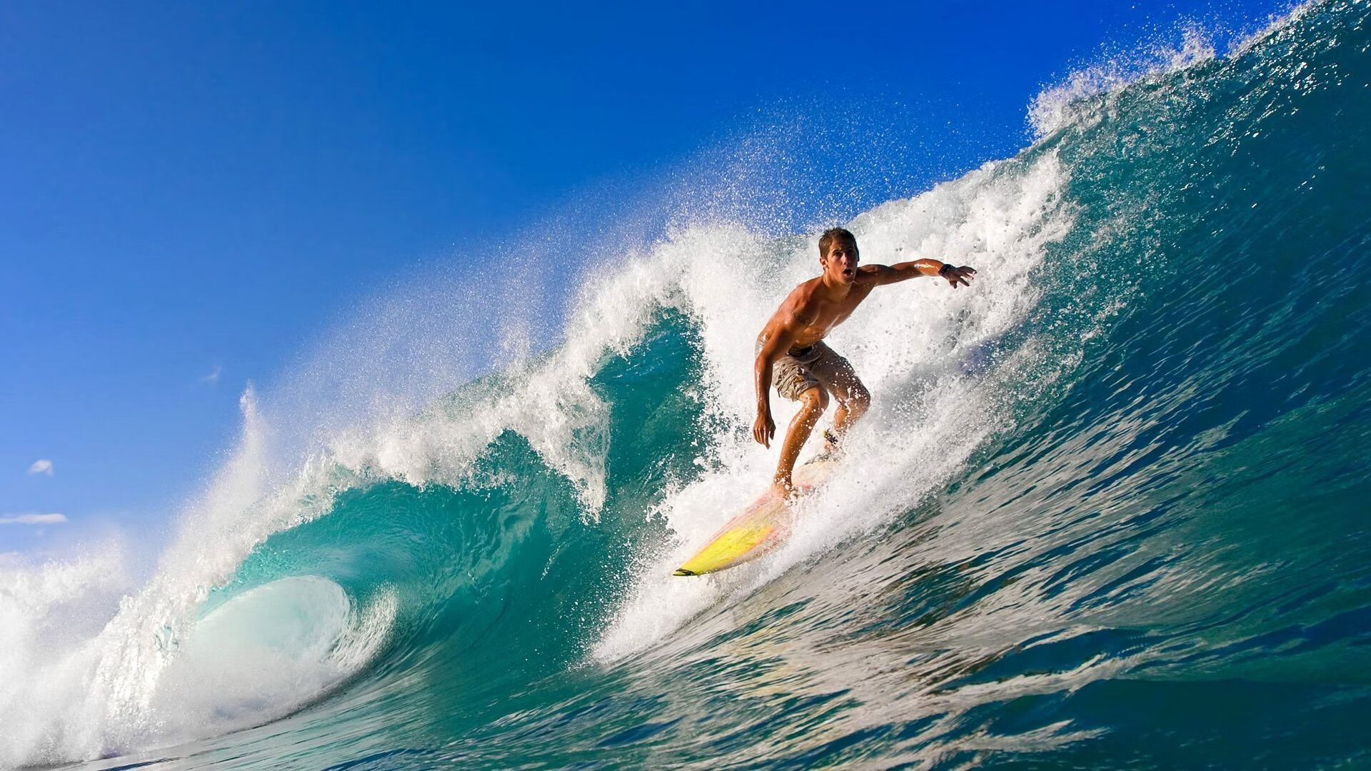 CBA外援与本土球员共塑篮球未来，cba外援与国内球员如何交流