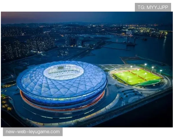球场临时医疗点与城市急救联动接口设计,临时足球场 球场临时医疗点与城市急救联动接口设计,临时足球场